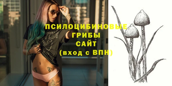 стафф Нефтекумск