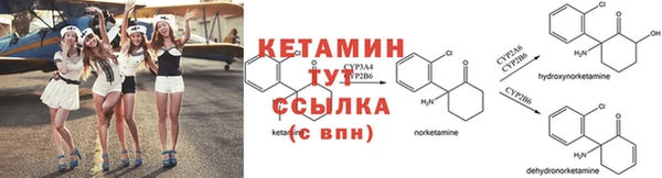 сатива Надым