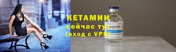 сатива Надым