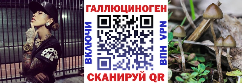 Галлюциногенные грибы Cubensis  Навашино 